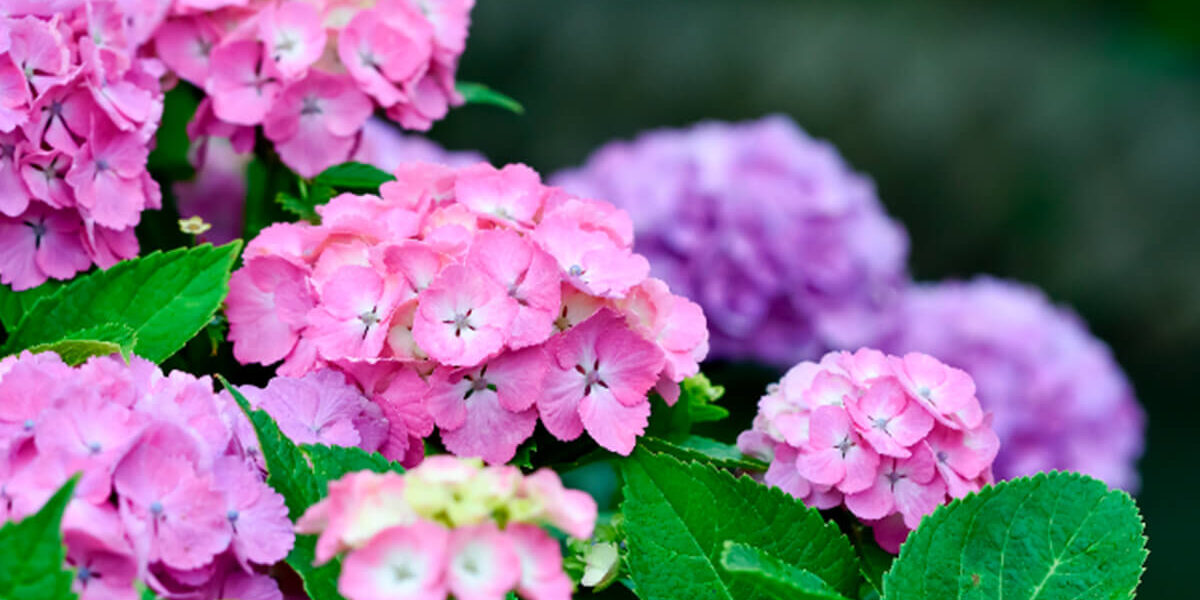 【梅雨対策】京都の業務用エアコン泣かせ？カビ・故障を防ぐ方法