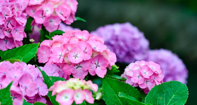 【梅雨対策】京都の業務用エアコン泣かせ？カビ・故障を防ぐ方法