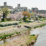 京都の気候に最適な業務用エアコン運用と故障ガイド